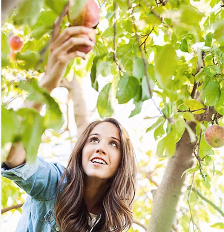 misbahce 4 Rd1SMI6Tkp