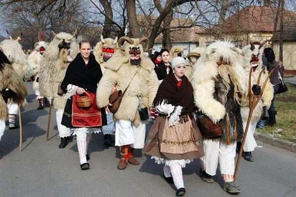 Beykoz heyeti Mohaç’ta ağırlandı 2 moha bOaGVSHHR8