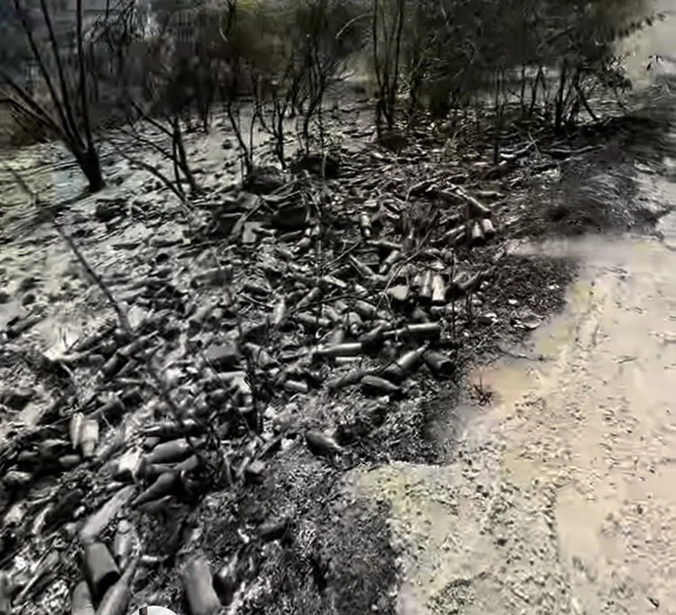 muharrem 2 S3c9v3ozw1