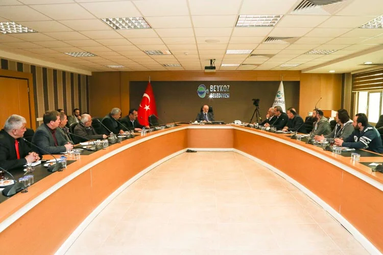 Beykoz Belediyesi, Boğaziçi Gerigörünüm ve Etkilenme Bölgesi 1. Etap 1/1000