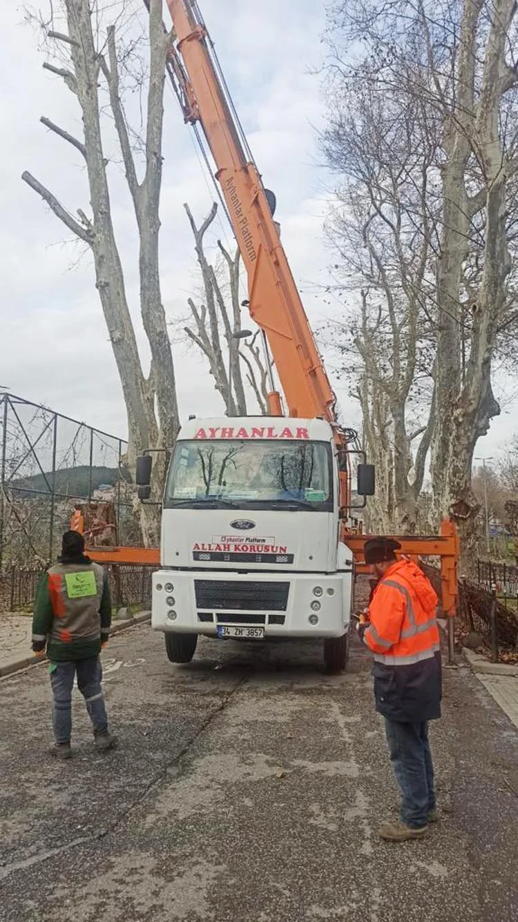 Beykoz’daki odun kavgasında yeni gelişme 2 od dJVoT4Yb4d