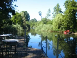 Beykoz Öğümce Mahallesi'nde, 5393 sayılı Belediye Kanunu'nun 81. maddesi gereği