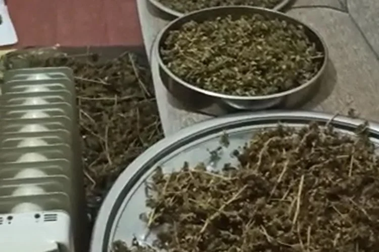 Beykoz Asayiş Büro Amirliğince Çengeldere Mahallesi'nde bir adrese yapılan baskında