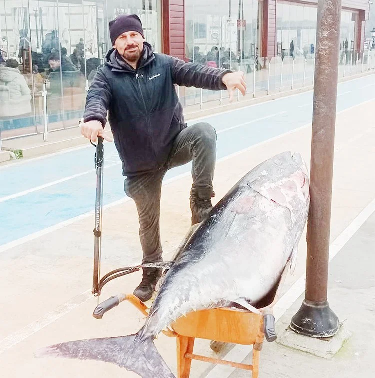 Beykoz Çubuklu sahilinde 187 kiloluk orkinos yakalandı 2 orkinos beyk ssaIQ oRg1