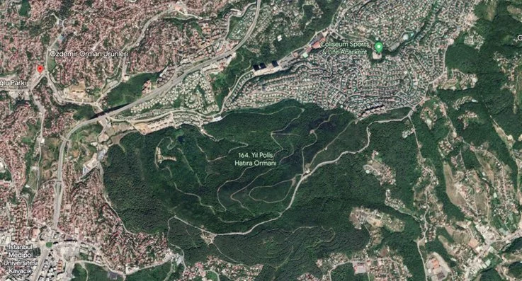 orman haber 3 GZWapw9720