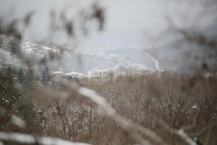 Beykoz halkının ortak iradesi mi? 2 orman 1 2zk2seStqr