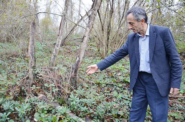 orman beyk JPHHVaCVXf