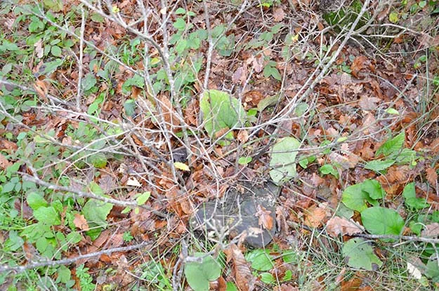 Dost Beykoz, yalnızca ilçenin değil, Çekmeköy'den Şile'ye kadar uzanan büyük