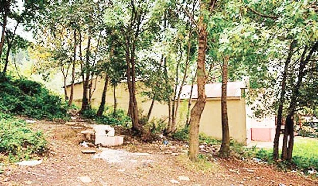 orman manset 2 6pPtLJt47l