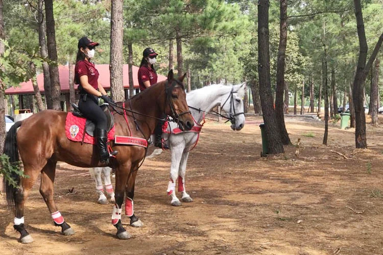 Beykoz Kent Ormanında atlı polis denetimi 1 ormandenetimdb2 0M9FTlPNPV