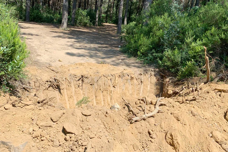Beykoz'da özellikle yaz aylarında artış gösteren orman yangınlarına önlem için
