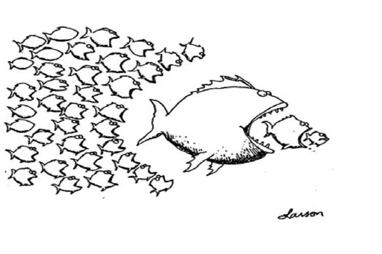 Gelişme, karşıtların mücadelesidir 2 ozgur dalcik kose MWGjHW2 0M