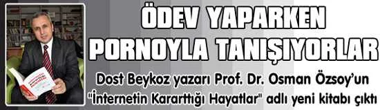 Diyelim ki facebook ya da benzeri bir paylaşım sitesine dayınızı