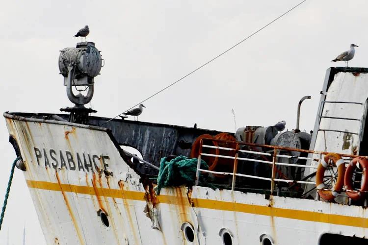 Paşabahçe, Beykoz'da yeniden yaşayacak 1 pasabahcevapurubeykozungururuyd ff0G 7XPKJ