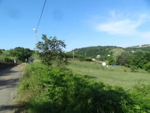 Beykoz Paşamandıra Mahallesi'nde, 5393 sayılı Belediye Kanunu'nun 81. maddesi gereği