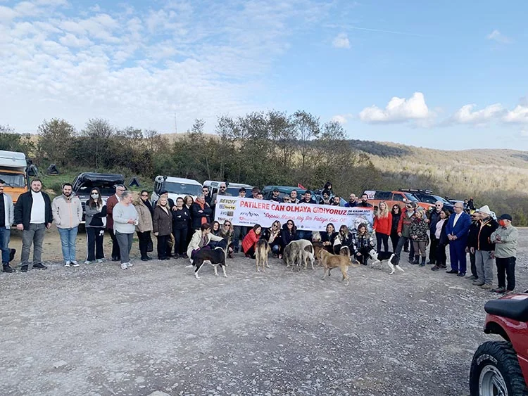 Avrasya Yapı Beykoz’da ormanlara el koydu 7 pati beyk e41phZBGhj