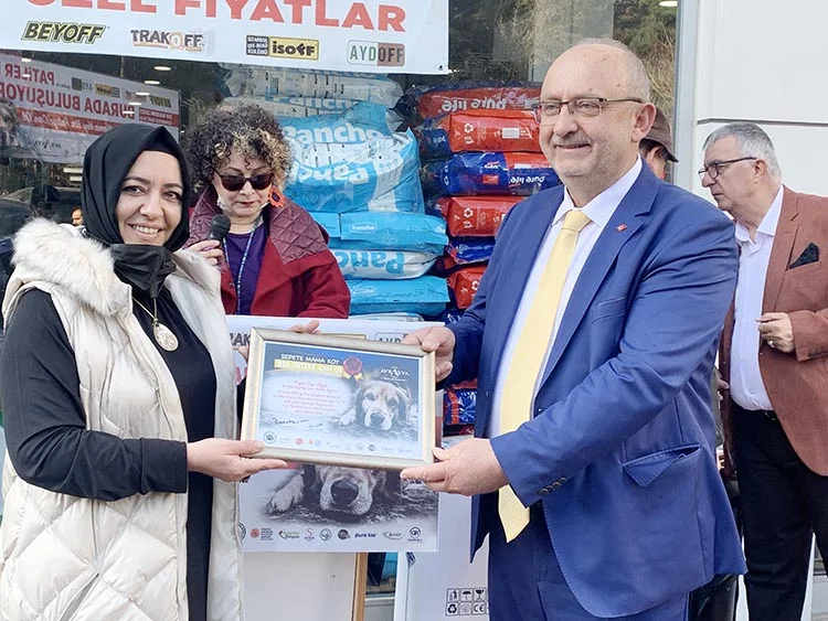 Avrasya Yapı Beykoz’da ormanlara el koydu 3 pati beyk sTjWt2Bsdr