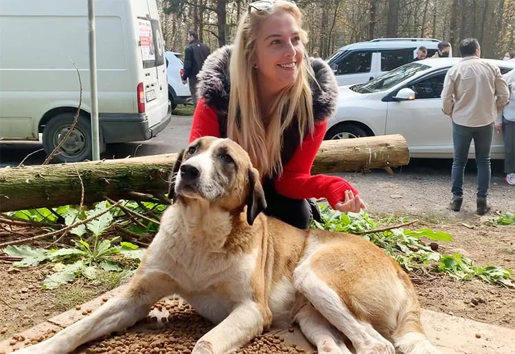 Avrasya Yapı Beykoz’da ormanlara el koydu 6 pati beyk vDTWWuDoTs