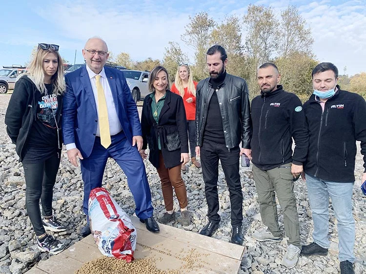 Avrasya Yapı Beykoz’da ormanlara el koydu 5 pati beykoz 4 Psgb8u6mmn