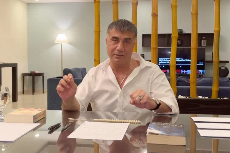 Kendisinin yurt dışında olduğu bir sırada Beykoz Korusu içindeki evine