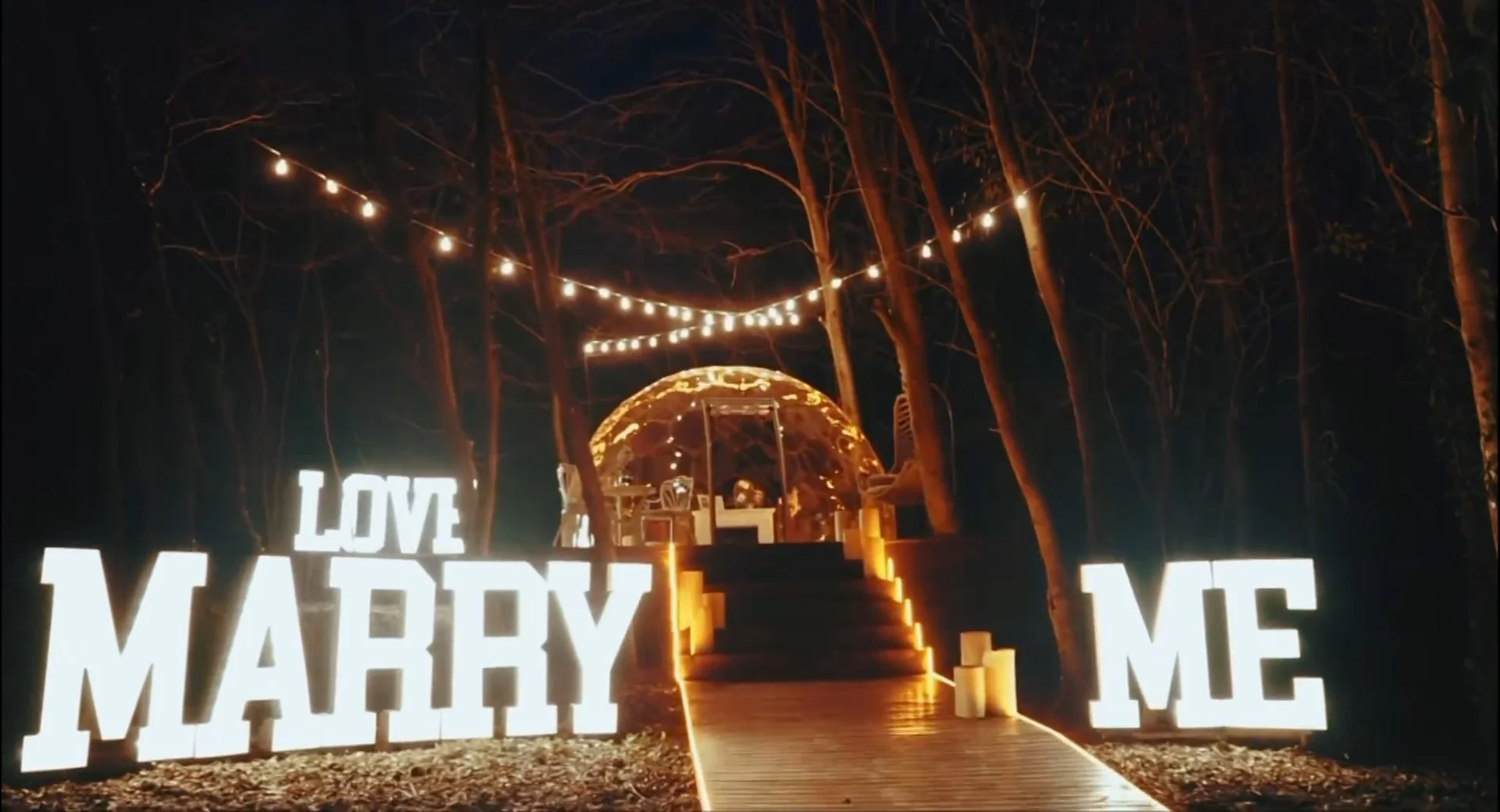 Beykoz'da, doğanın kalbinde, hayallerinizin ötesinde Polonez City Dome, size ve