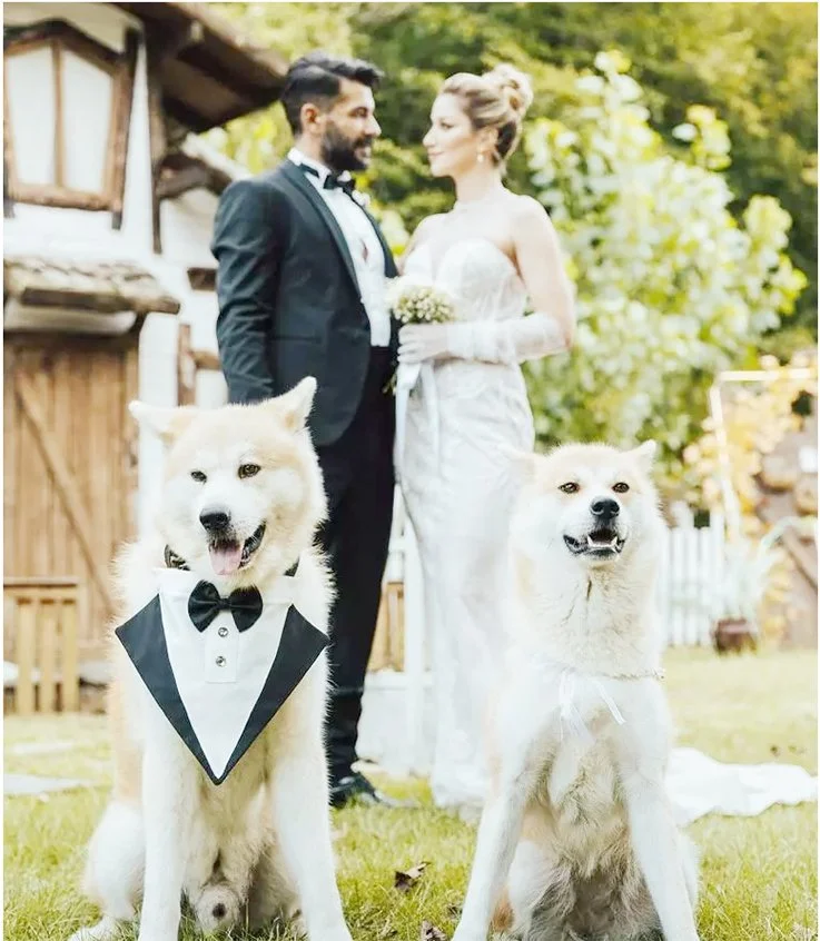 polo haber 1 z0hYVR7Ecz