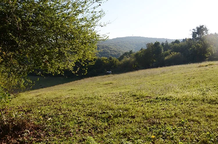 Beykoz’da icradan satılık milyonluk arsalar 1 polonez 2 IlZ5pY84df