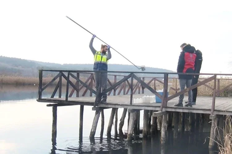 riva dere 2 H4FEC52coa