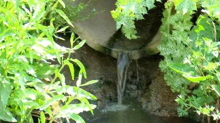 riva dere 4 zHYosq4g v