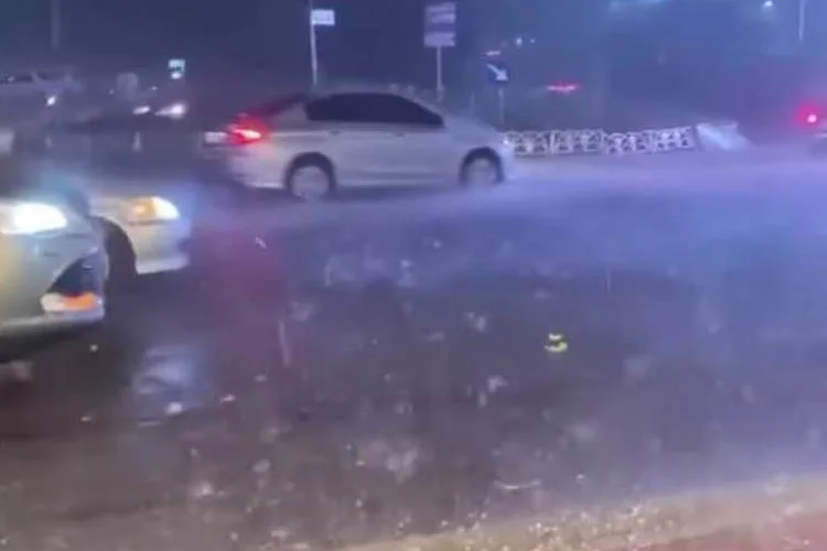 saganakbilancodb2 BUwFum56PL