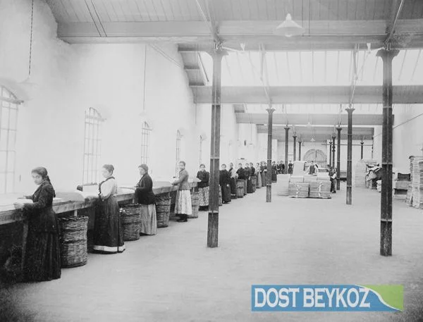 sanayii beyk tEJ2z9vWU1