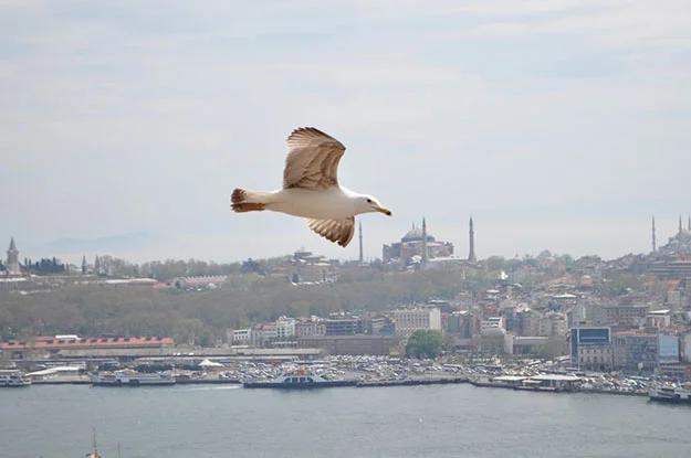 Selahattin Karakaşlı İmam Hatip Ortaokulu öğrencileri, İstanbul'u gezdi.