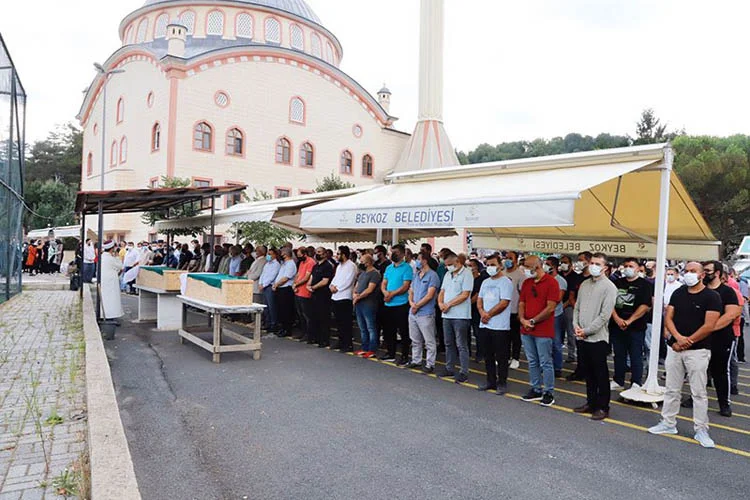 senanurkusdb2 US8OG8zYIk