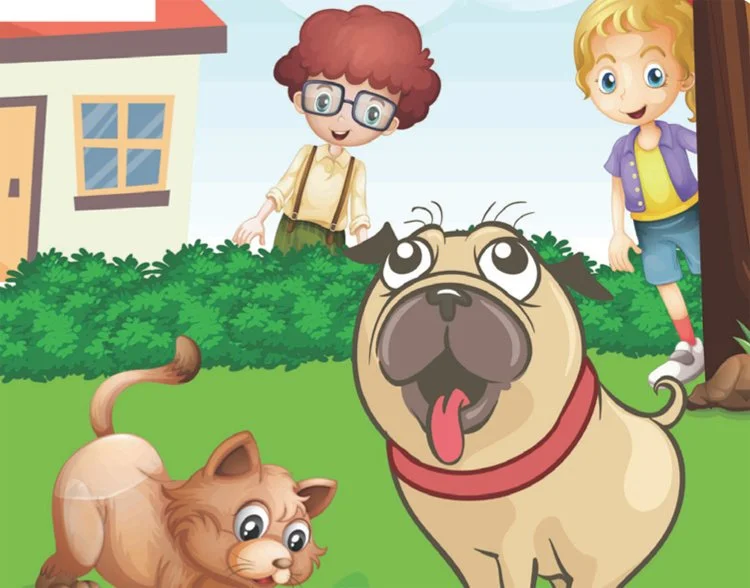 Beykoz Belediyesi Aralık 2022 Kültür Programları 7 sevgi 8l2jtlQtAr