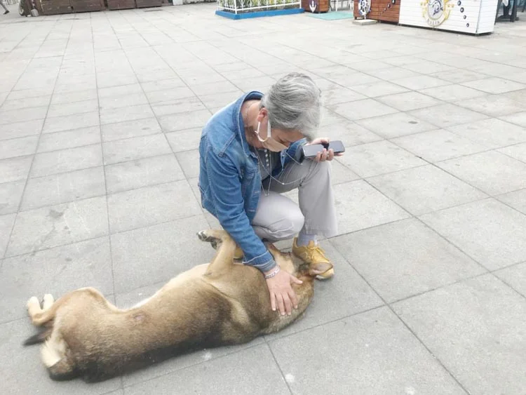 sevim beykoz 6 6 K DESlrw