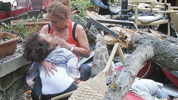 Beykoz Korusu’nda, geçtiğimiz Eylül ayının 9’unda, asırlık bir dişbudak ağacının