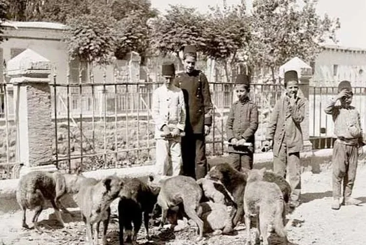 Osmanlı Devleti döneminde de yaşanan başı boş köpek sorunu devlet