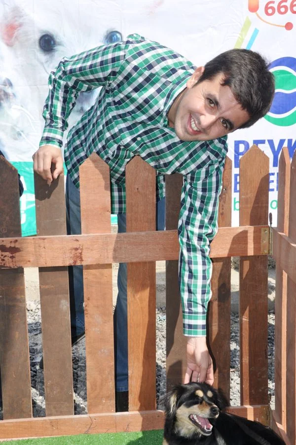 Sokak hayvanları sorunu çözülecek mi? 1 sokak hayv n0bOC5ygZX