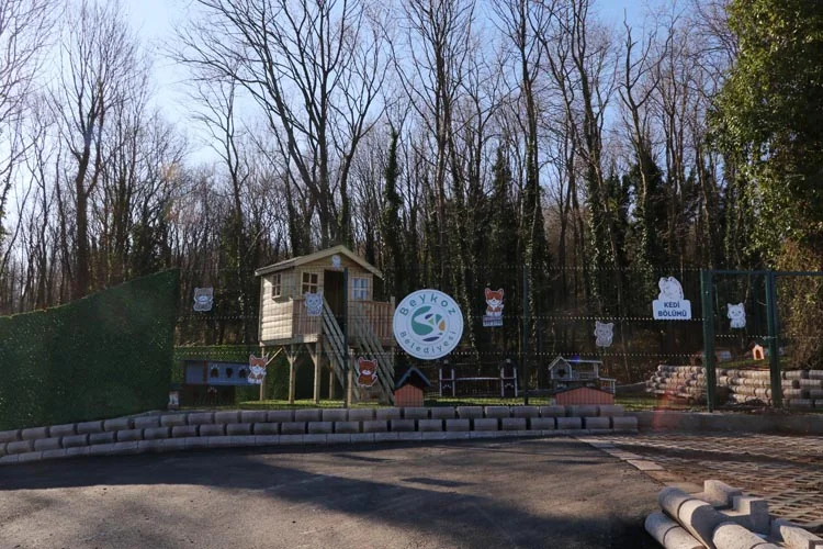 Beykoz’da kurulacak ve Türkiye’de ilk olacak “Doğal Yaşam Alanı” ilk