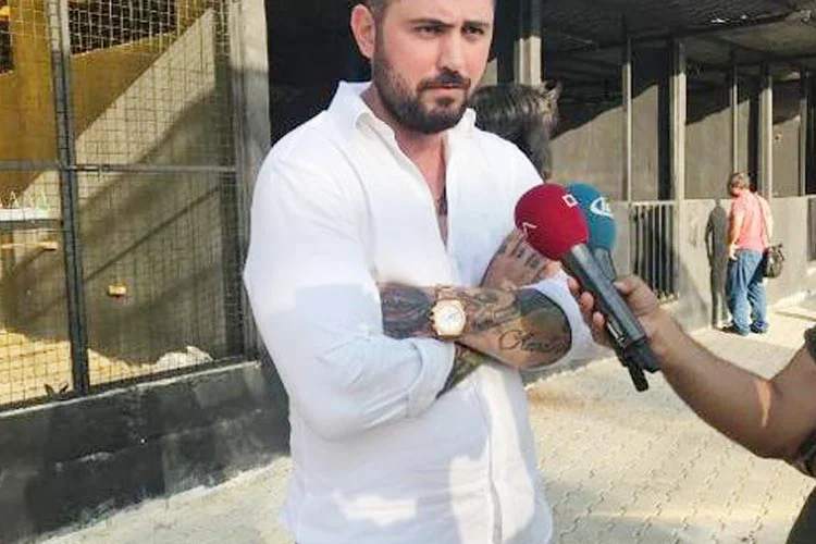 Sosyal medyada paylaşılan, nargile kafede aslan görseli, Orman ve Su