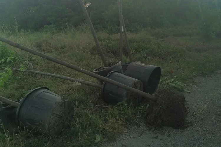 Beykoz’da tonlarca su boşa akıp gidiyor 1 su beykoz 2 58kkdZowem