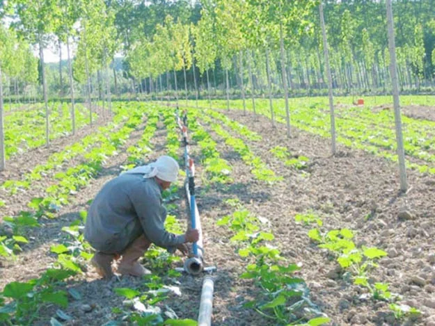 Toplam yüzölçümü 239 kilometrekare olan ilçede, 45 mahalle bulunuyor ve