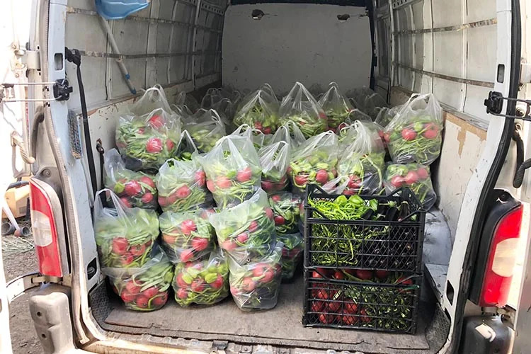 İstanbul’un kent tarımı merkezi Beykoz’da hayata geçen “Adil Sözleşmeli Tarım