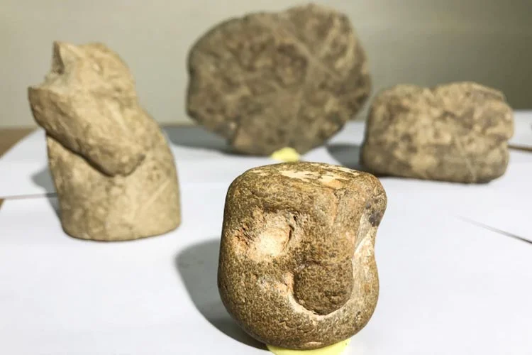 Beykoz'daki arkeolojik yüzey araştırmaları İstanbul'daki yaşam izlerini yontma taş devri