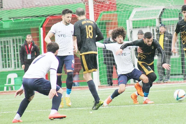 ted haber 2vlwmJqtFN