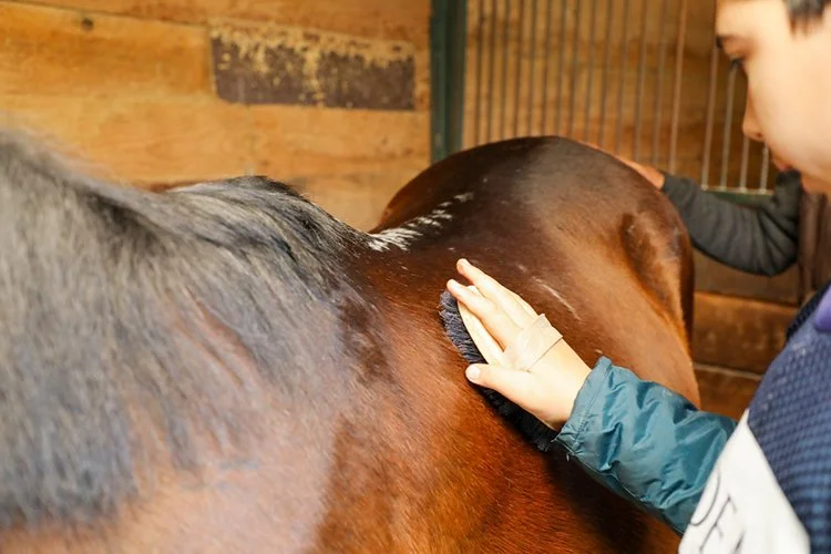 terapi beyk DNJd3vtbMF