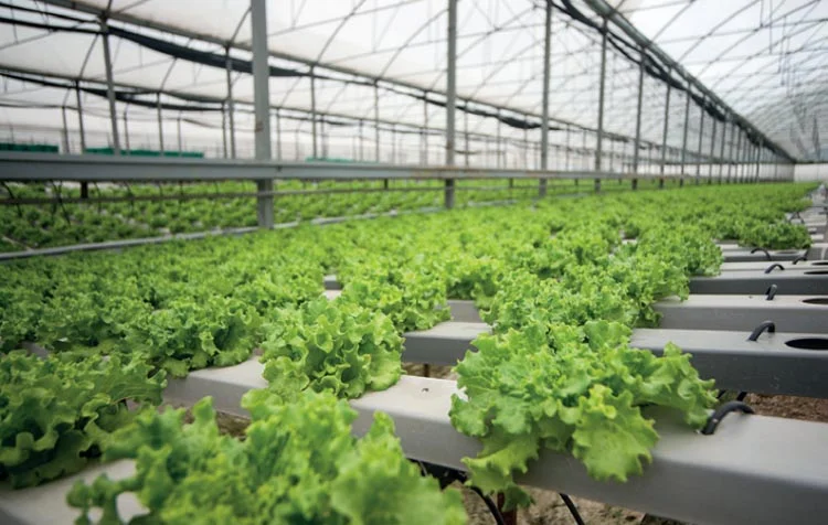 toprak haber 2 MEolHky325