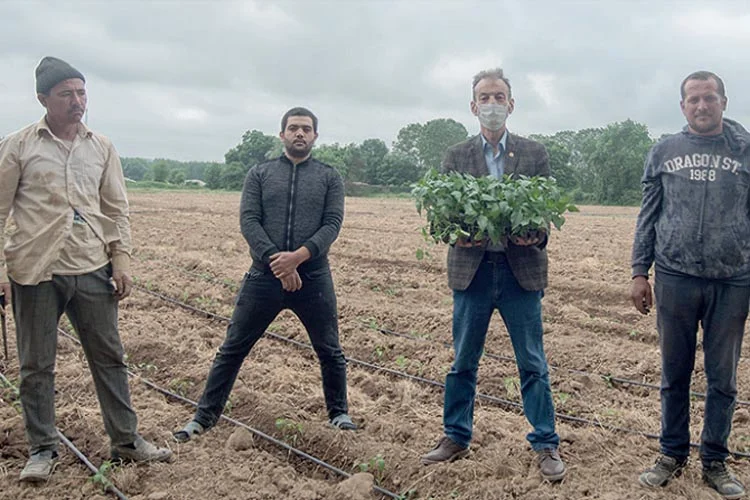 İstanbul Büyükşehir Belediyesi'nin Beykoz'un çiftçilerine dağıttığı fidelerle hareketlenen Cumhuriyetköy sakinleri