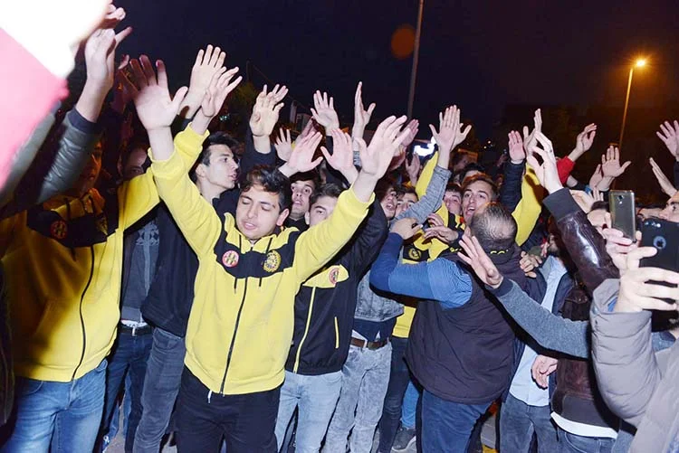 tosun tafaftar 6 0iGzBcQLvr