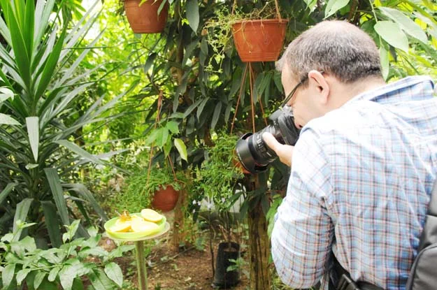 Beykoz’da yapılan 40. Turizm Haftası kapsamında fotoğraf ve doğa tutkunları